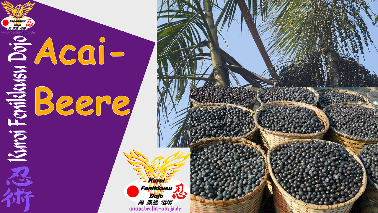 001 - Acai Beere