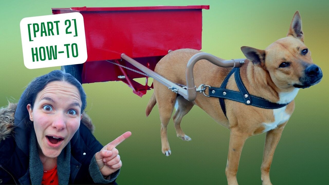 HOW-TO: Make a DOG CART