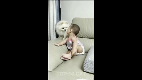 Baby girl kiss with cute cat || Funny short vdios