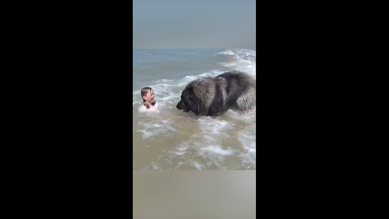 Have no fear when hero puppy is here 😂👌😁🥰