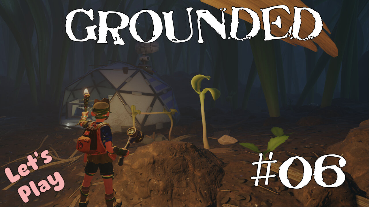 Let's Play | Grounded | #06