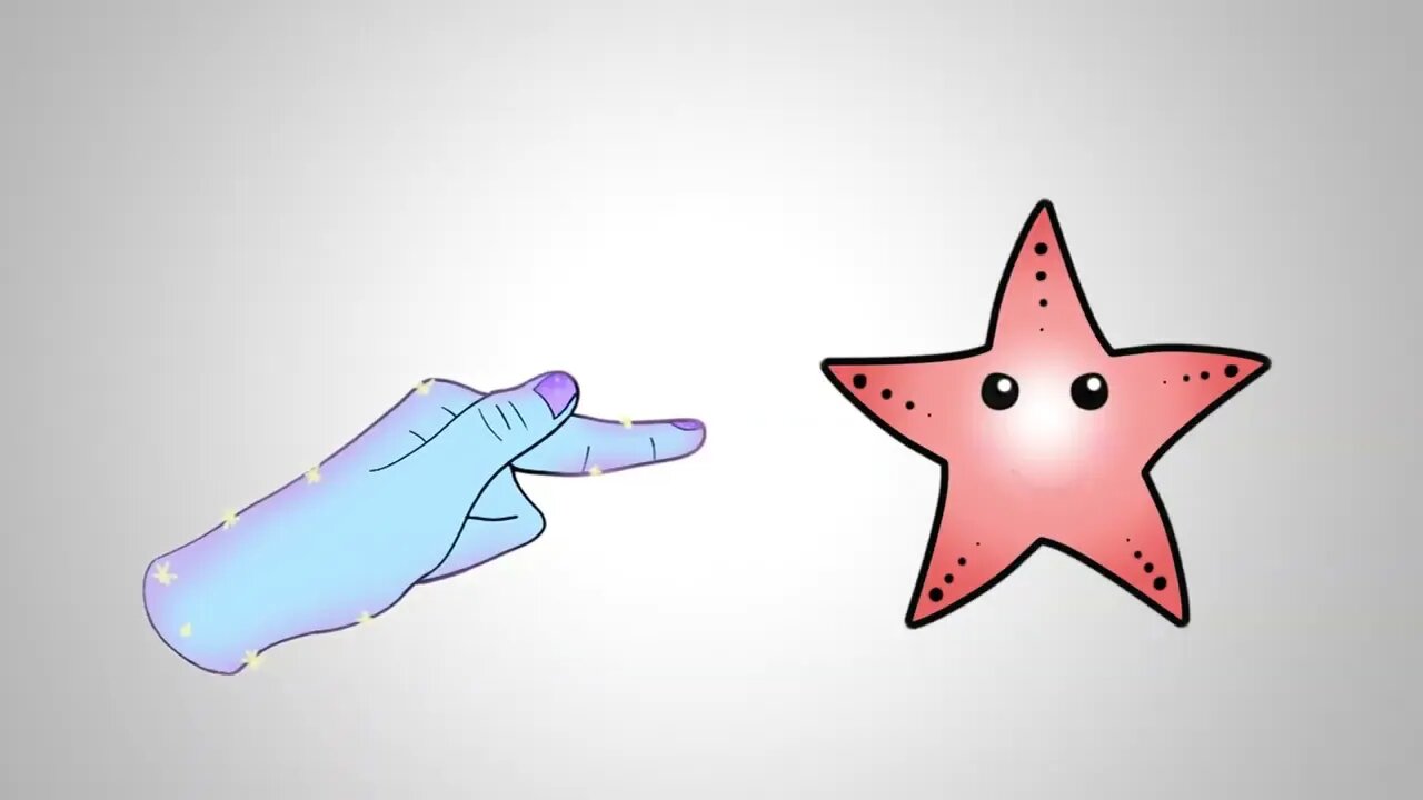 Starfish Boop