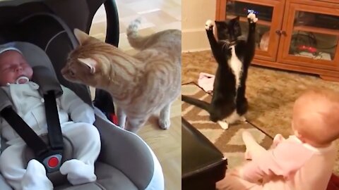 The Most Adorable Babies and Cats Together