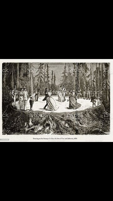 Here's why olive oil is so widely used.