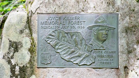 Joyce Kilmer Memorial Forest