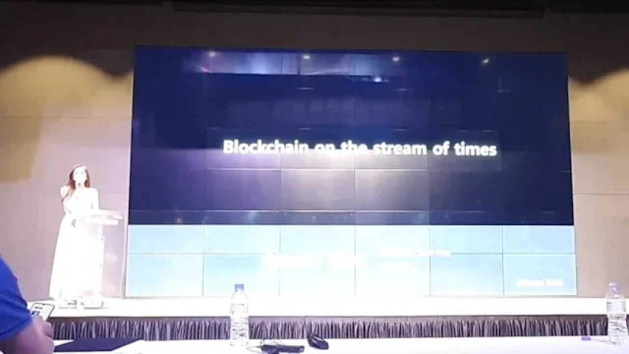 한중블록체인 후오비코리아 엘레나 강 강채원 마케팅 담당 이사 blockchain on the stream of times