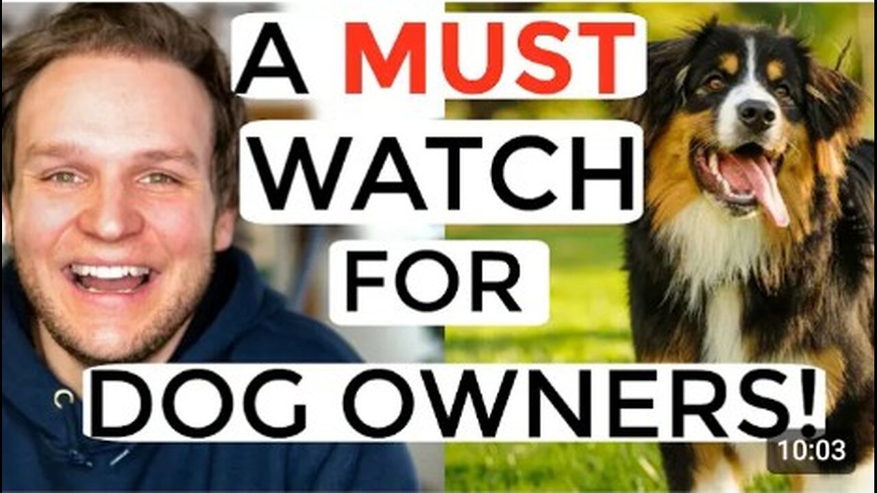 A must watch for dog owners 🐶