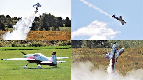 phoenix avion mini