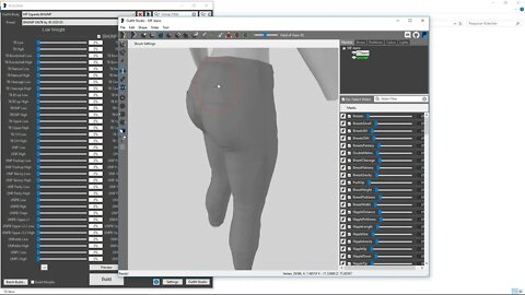 Skyrim Using CBBE mods, already in (BodySlide and Outfit Studio)and converting to BHUNP