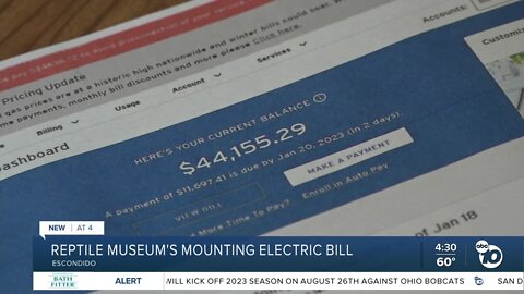 Future of Escondido reptile museum 'at risk' amid mounting electric bill