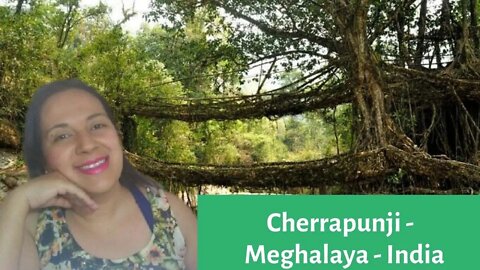 Amazing Waterfalls & Living Root Bridges In CHERRAPUNJI, MEGHALAYA, INDIA I Brazilian Reaction