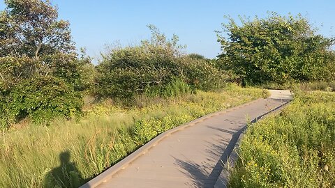 Walking Queens: Arverne East Nature Preserve (Far Rockaway, Queens)