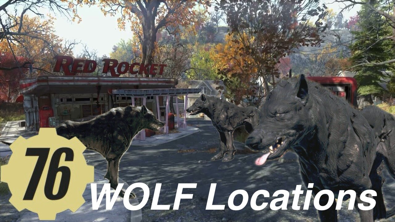 Fallout 76 WOLF / Canine Locations Guide Fallout 76