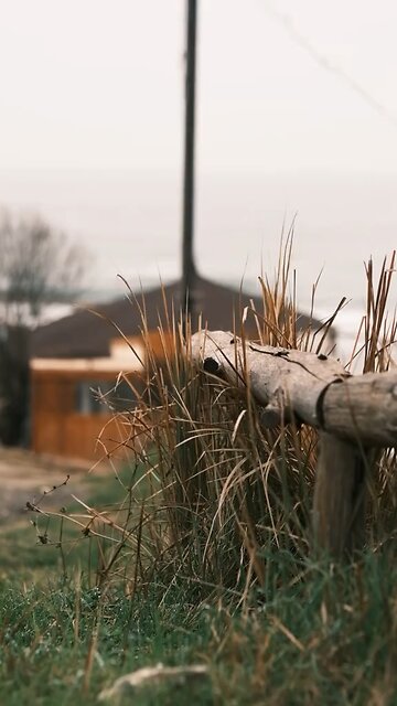 This is where I find peace