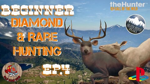 Beginner Diamond & Rare hunting Ep. 4 theHunter Call of the Wild