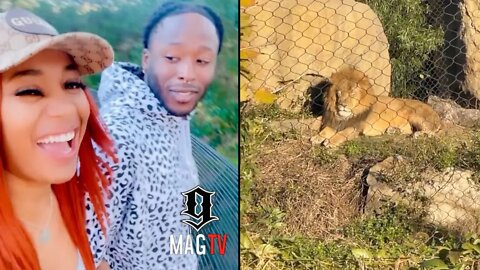 Alvin Kamara & Te'a Cooper's Offseason Date At The Zoo! 😍