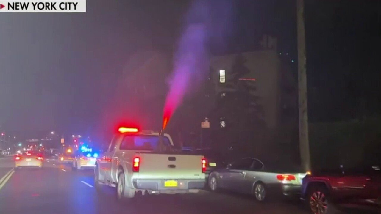 New York City Sprays Pesticides To Stop West Nile Virus