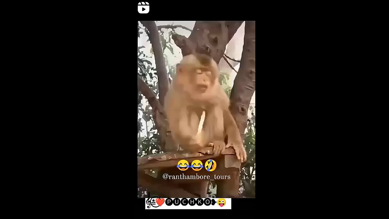 Funny video😂😂😂