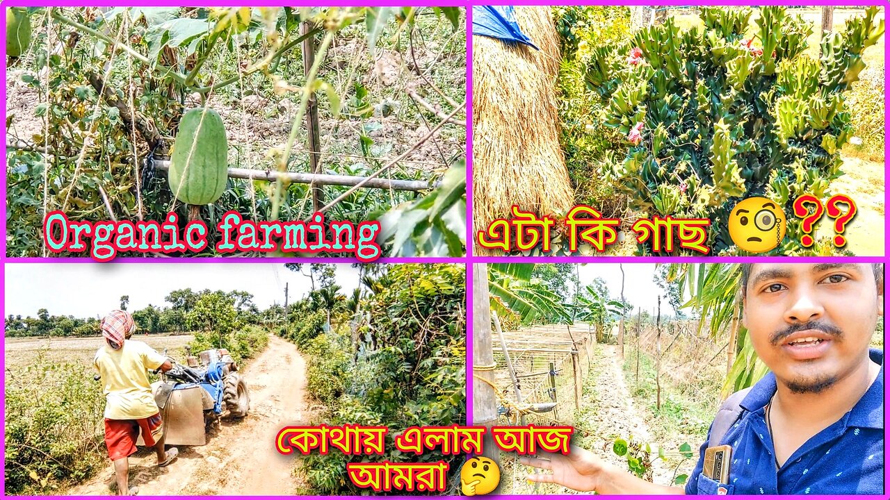 এ কোথায় এলাম আজ আমরা 🤔 | এটা কি গাছ 🧐??.. Organic সব শাক সবজি চাষ হয় এখানে 🎋🌴🎋..#ফার্মিং #farming