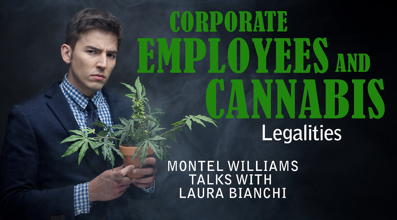 EMPLOYMENT LAW & CANNABIS | LAURA BIANCHI [know your rights]