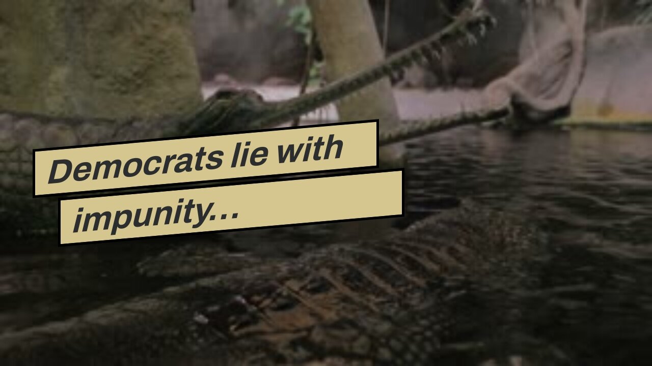 Democrats lie with impunity…