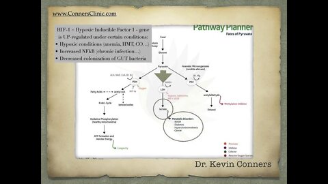 What Feeds Cancer? | Dr. Kevin Conners - Conners Clinic