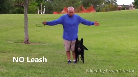 How To Make Dog Become Aggressive Instantly With Few Simple Tips