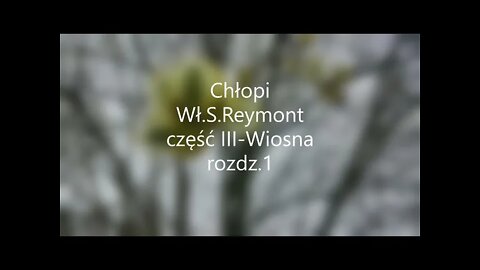 Chłopi -Wł.S.Reymont część III - Wiosna rozdz.1