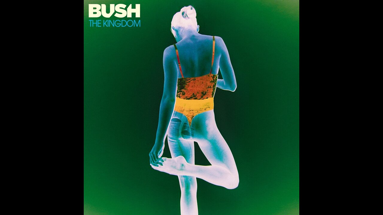 Bush - The Kingdom