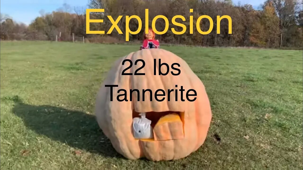 Giant Pumpkin Explodes #tannerites #explodes #pumpkin #giantpumpkin