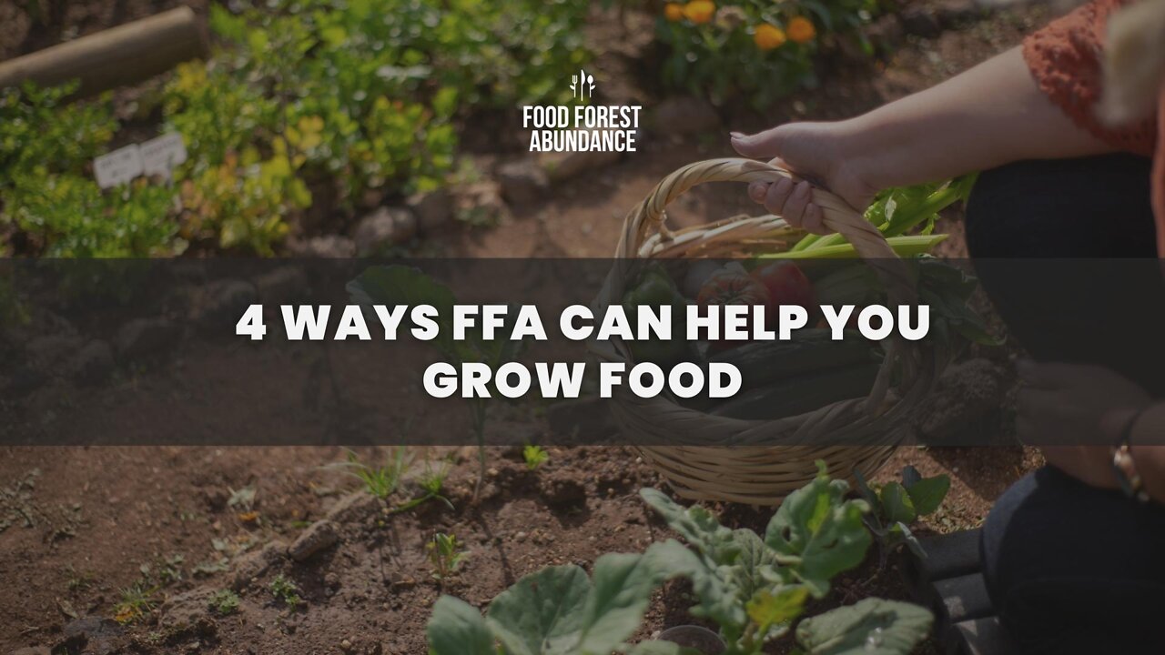 4 ways FFA can help you grow food