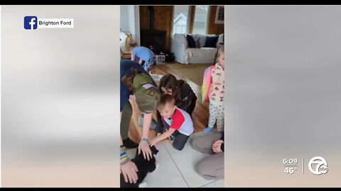 Owner of Brighton Ford surprises victims of fire with puppy