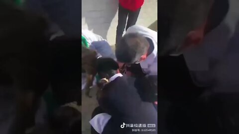 ۱۱ اوت ۲۰۲۲