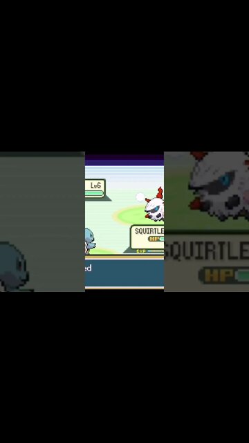 Pokémon Cloud White - Squirtle Used Bubble!