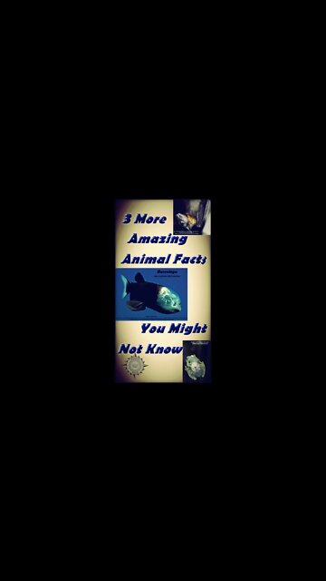 3 More Amazing Animal Facts You Might Not Know