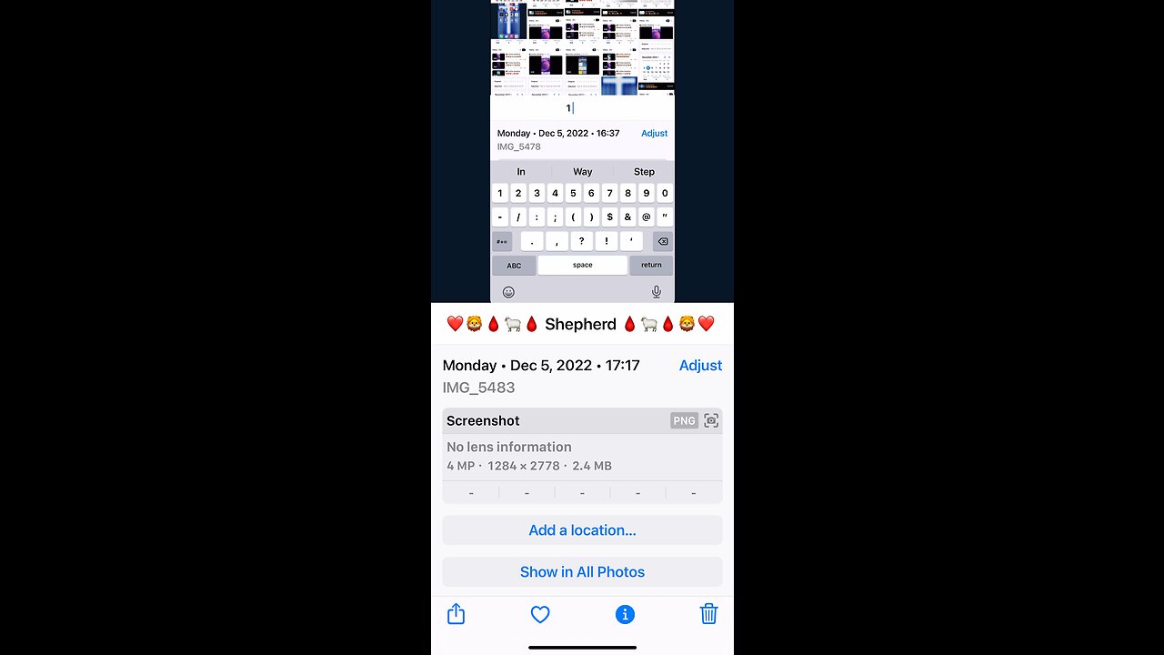 ❤️❤️❤️🐑❤️❤️❤️