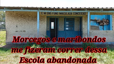 morcegos e maribondos me botaram pra correr nessa escola abandonada