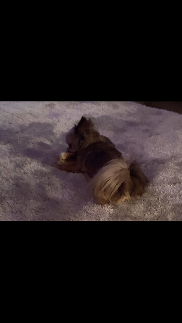 It’s a Penny party!