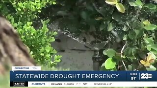 New water restrictions imposed as California faces drought emergency