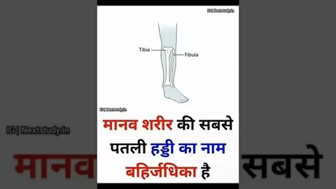 अपने बारे में जाने😱🔥 #shorts #facts