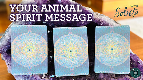 Your Animal Spirit Message 🔮 PICK-A-CARD MONDAYS