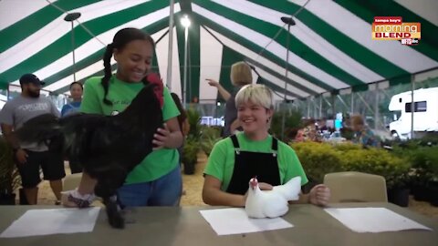 Hillsborough County Fair|Morning Blend