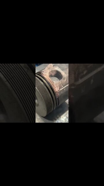 #shorts #2022 funny,prank,funjokes,dad jokes,funny memes,funny video,fun,laughing,funny animal,knock