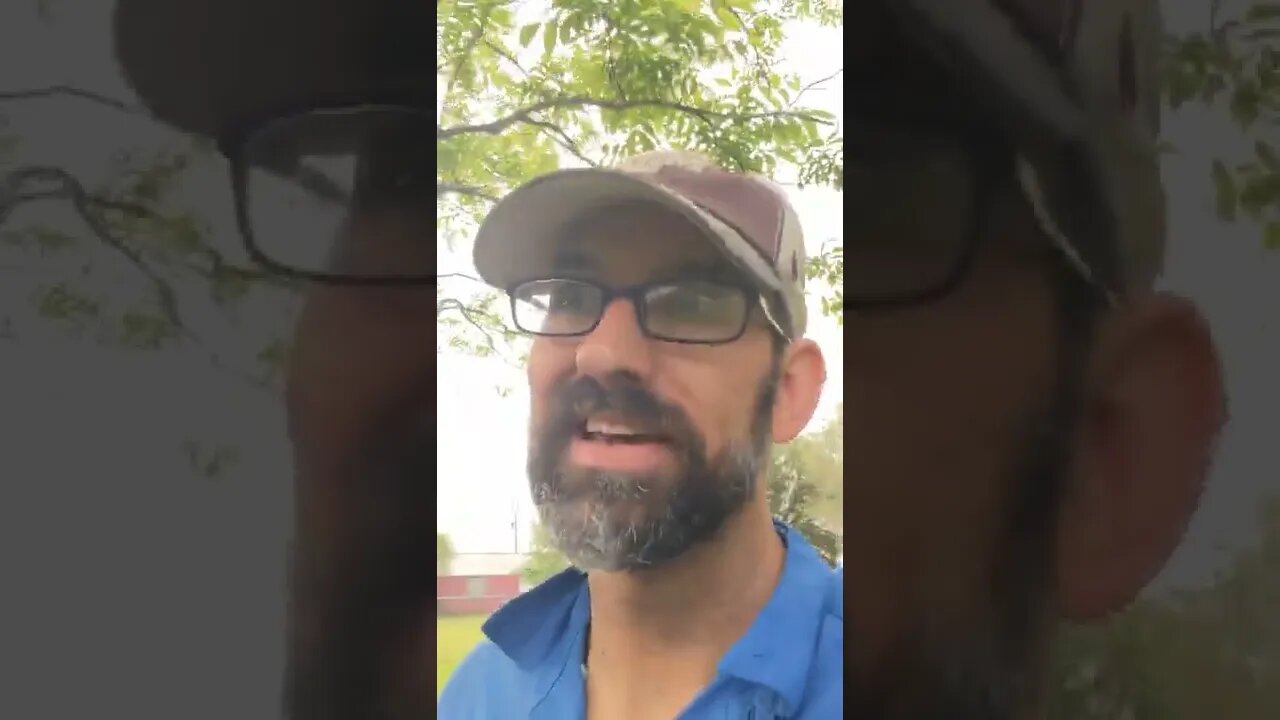 Liberty Lion only Update - A Thousand Irons in the Fire...and it's burning 🥵 hot!