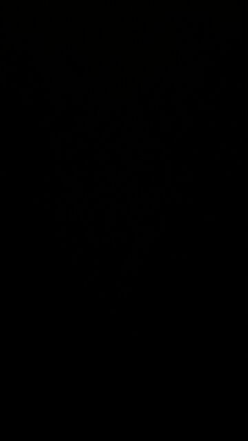 Julian Assange is free!