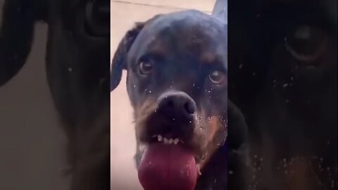 Soo funny 😂❤️…. Please make this viral | #shorts | #viral | #funny