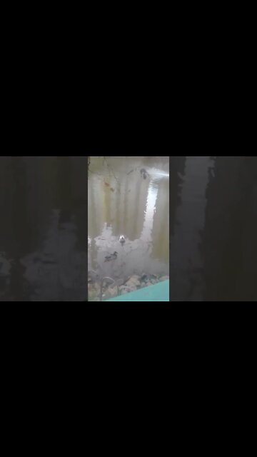 no parque diversao barueri 1 #shorts