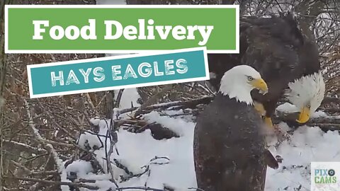 Hays Eagles Mom food siren for a feathered gift from Dad 2022 01 24 8:33AM