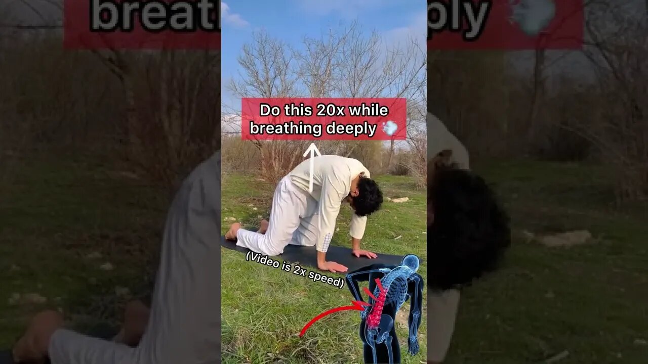 Fix your back pain!