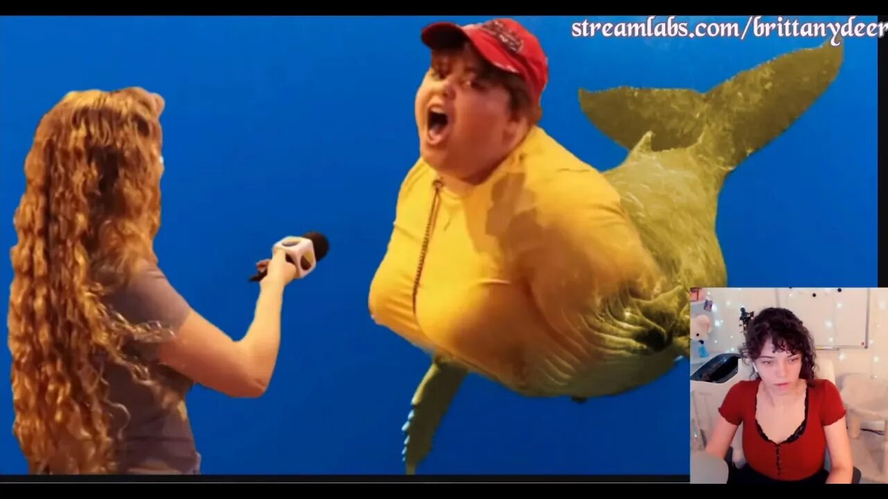 Subscribers Draw [Episode 1]: Whale